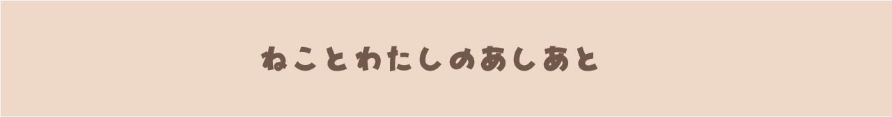 ねことわたしのあしあと